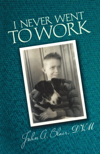 John A. Blair - I Never Went to Work, E-bok