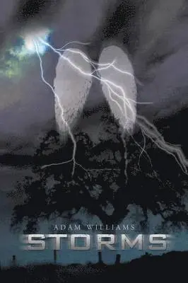 Adam Williams - Storms, Häftad. Tillgänglighet: Lägg i varukorg