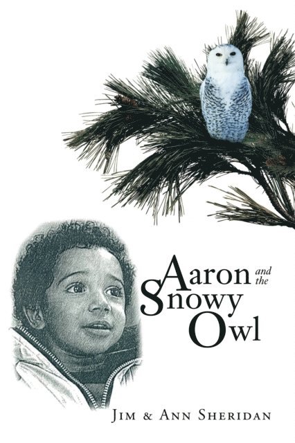 Ann Sheridan, Jim - Aaron and the Snowy Owl, E-bok