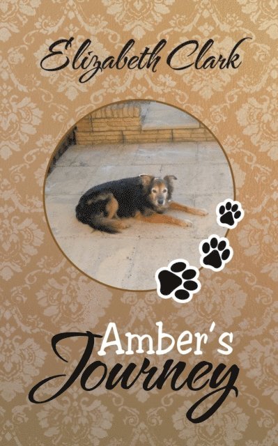Elizabeth Clark - Amber's Journey, E-bok