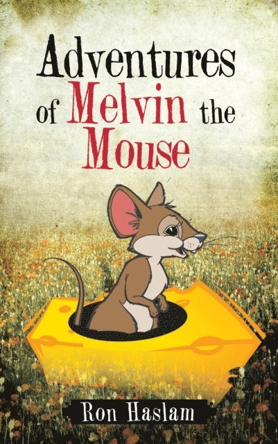 Ron Haslam - Adventures of Melvin the Mouse, E-bok. Tillgänglighet: Lägg i varukorg