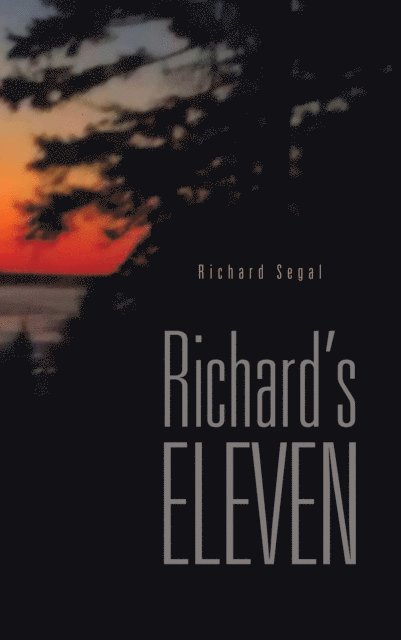 Richard Segal - Richard'S Eleven, E-bok
