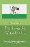 The Invisible Waterbrook