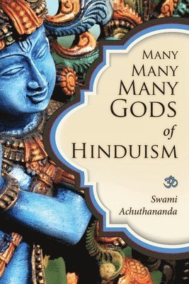 Swami Achuthananda - Many Many Many Gods of Hinduism, Häftad. Tillgänglighet: Lägg i varukorg
