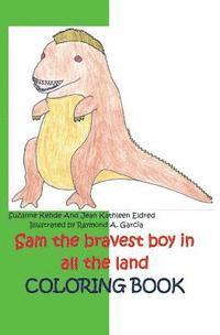Suzanne Kehde - Sam the bravest boy in all the land, Häftad. Tillgänglighet: Lägg i varukorg