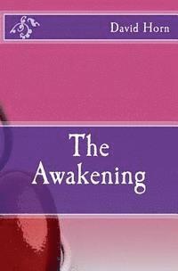 David Horn - The Awakening, Häftad