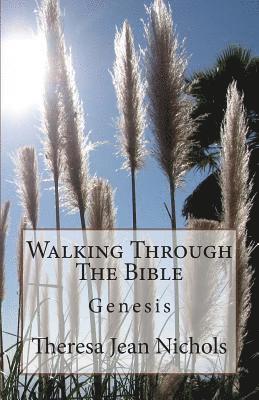 Theresa Jean Nichols - Walking Through The Bible: Genesis, Häftad. Tillgänglighet: Lägg i varukorg