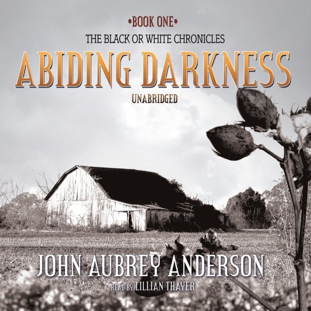 John Aubrey Anderson - Abiding Darkness, Ljudbok