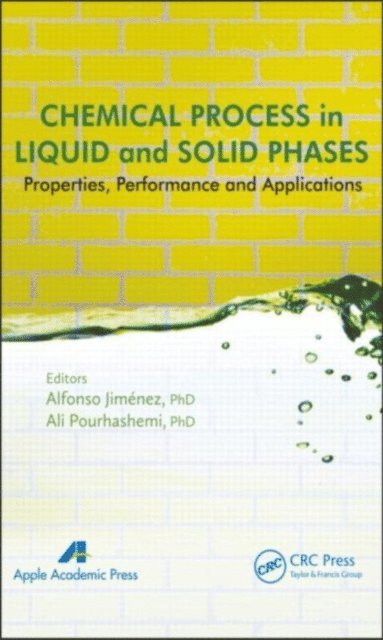 Ali Pourhashemi, Alfonso Jimenez - Chemical Process in Liquid and Solid Phase, E-bok