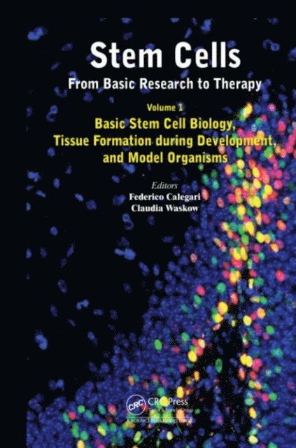 Claudia Waskow, Federico Calegari - Stem Cells: From Basic Research to Therapy, Volume 1, E-bok