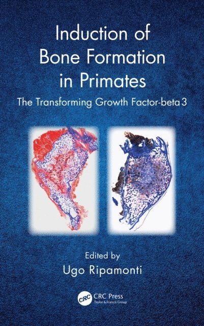 Ugo Ripamonti - Induction of Bone Formation in Primates, E-bok