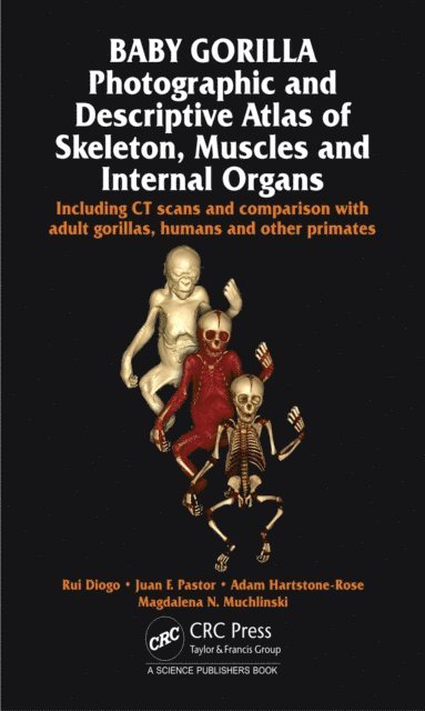 Magdalena N. Muchlinski, Adam Hartstone-Rose, Juan F. Pastor, Rui Diogo - Baby Gorilla, E-bok