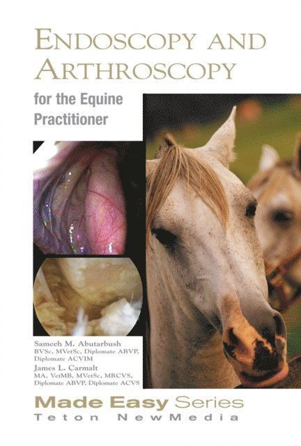 James Carmalt, Sameeh Abutarbush - Equine Endoscopy and Arthroscopy for the Equine Practitioner, E-bok
