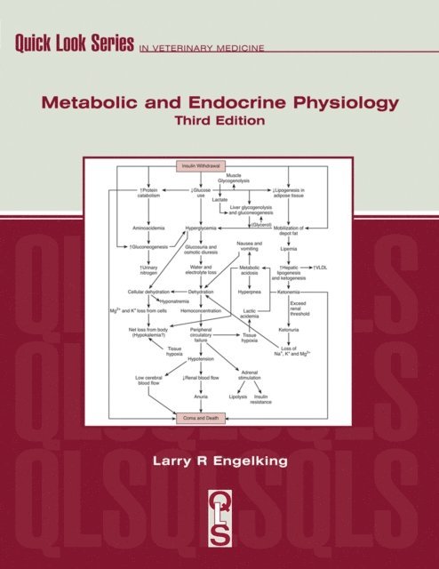 Larry Engelking - Metabolic and Endocrine Physiology, E-bok
