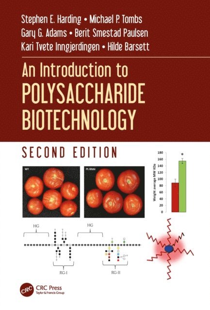 Hilde Barsett, Kari Tvete Inngjerdingen, Berit Smestad Paulsen, Gary G. Adams, Michael P. Tombs, Stephen E. Harding - Introduction to Polysaccharide Biotechnology, E-bok