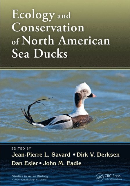 John M. Eadie, Dan Esler, Dirk V. Derksen, Jean-Pierre L. Savard - Ecology and Conservation of North American Sea Ducks, E-bok