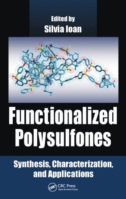 Silvia Ioan - Functionalized Polysulfones, E-bok