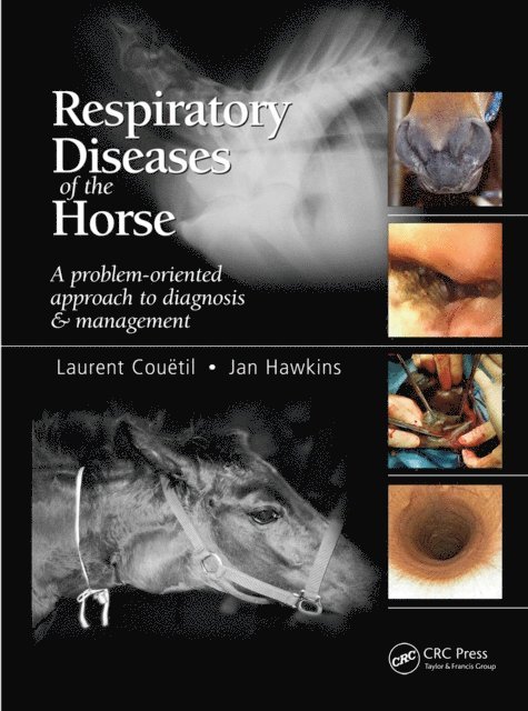 Jan F Hawkins, Laurent Couetil - Respiratory Diseases of the Horse, E-bok