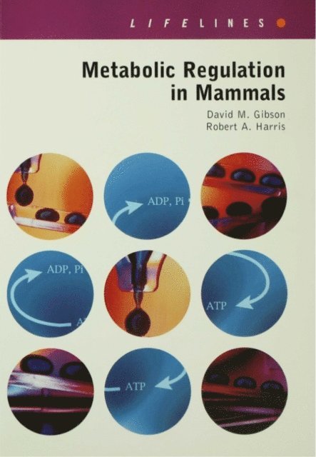 Robert A. Harris, David Gibson - Metabolic Regulation in Mammals, E-bok