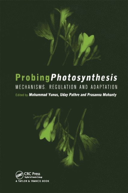 Prasanna Mohanty, Uday Pathre, Mohammad Yunus - Probing Photosynthesis, E-bok