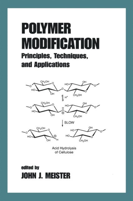 John Meister - Polymer Modification, E-bok