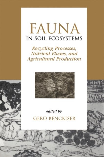Gero Benckiser - Fauna in Soil Ecosystems, E-bok