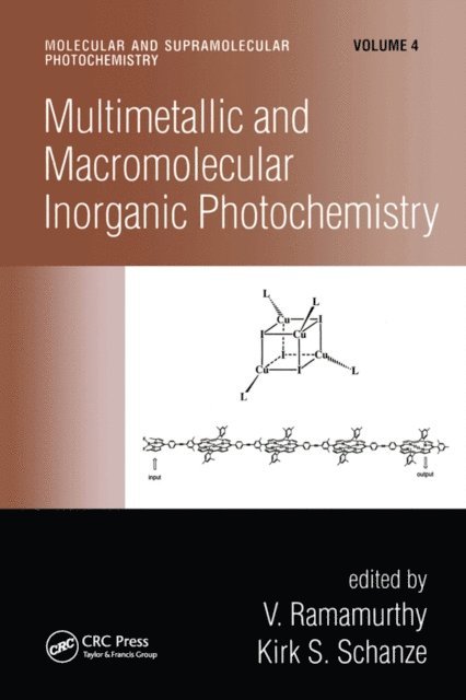 Kirk S. Schanze, V. Ramamurthy - Multimetallic and Macromolecular Inorganic Photochemistry, E-bok