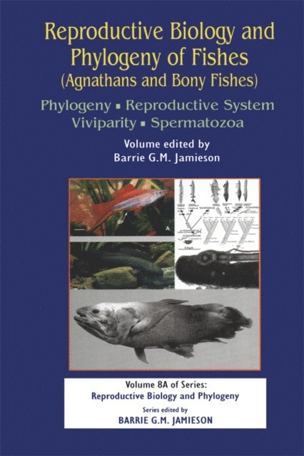 Barrie G M Jamieson - Reproductive Biology and Phylogeny of Fishes (Agnathans and Bony Fishes), E-bok
