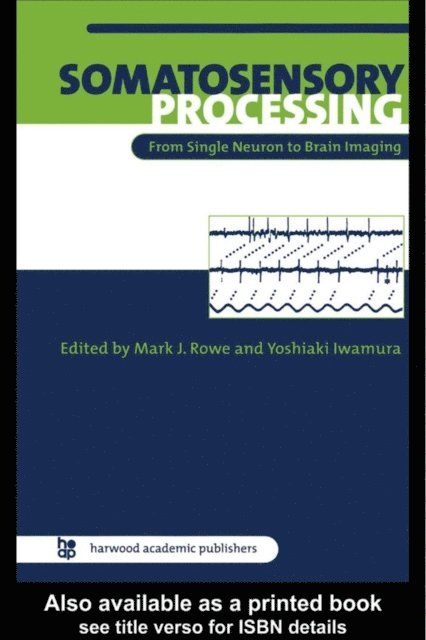 Yoshiaki Iwamura, Mark Rowe - Somatosensory Processing, E-bok