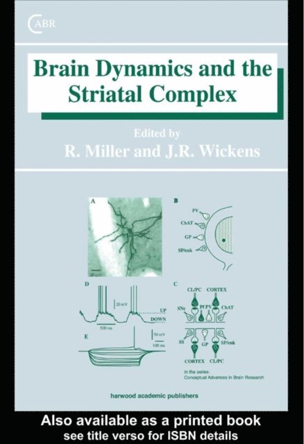 Jeffrey Wickens, Robert Miller - Brain Dynamics and the Striatal Complex, E-bok
