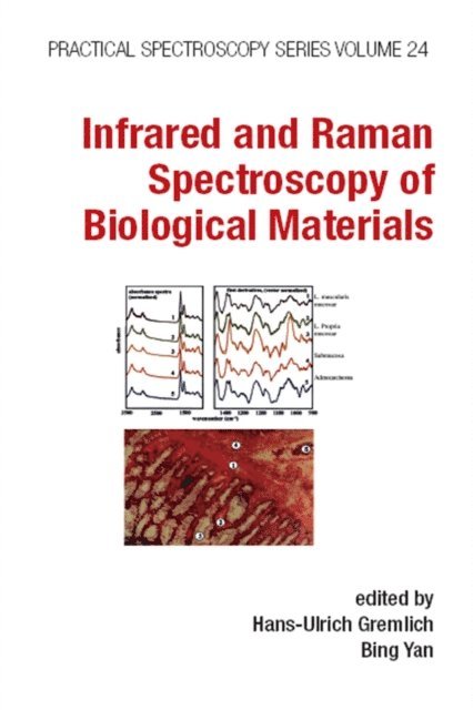 Bing Yan, Hans-Ulrich Gremlich - Infrared and Raman Spectroscopy of Biological Materials, E-bok