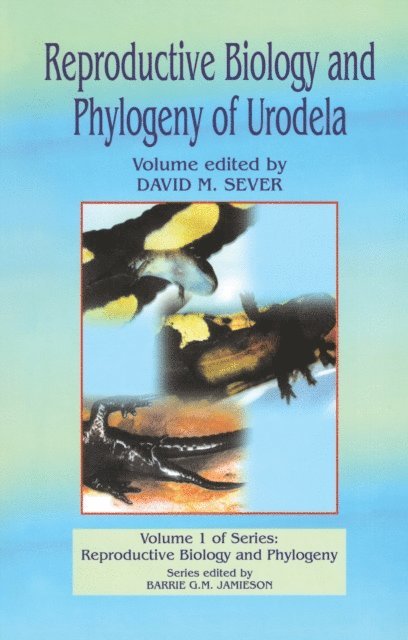 Barrie G M Jamieson - Reproductive Biology and Phylogeny of Urodela, E-bok