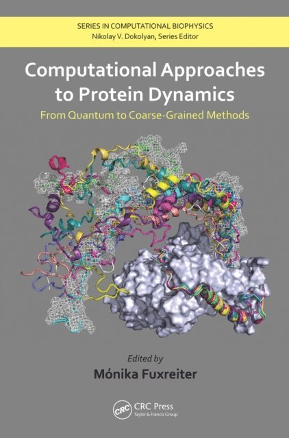 Monika Fuxreiter - Computational Approaches to Protein Dynamics, E-bok