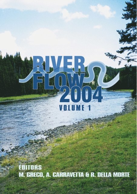 Renata Della Morte, Armando Carravetta, Massimo Greco - River Flow 2004, E-bok