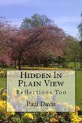 Hidden in Plain View: Volume 2