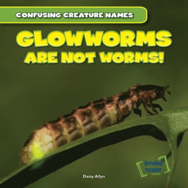Daisy Allyn - Glowworms Are Not Worms!, E-bok