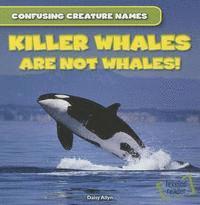 Daisy Allyn - Killer Whales Are Not Whales!, Häftad