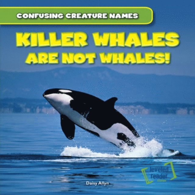 Daisy Allyn - Killer Whales Are Not Whales!, E-bok