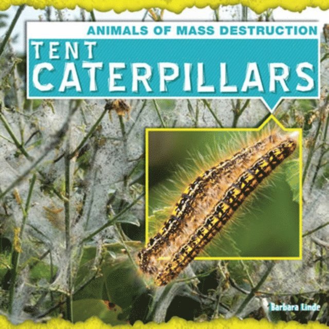 Tent Caterpillars