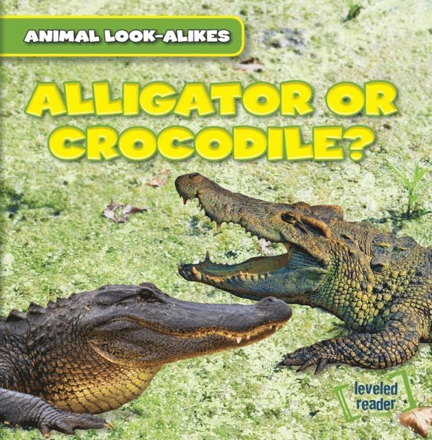 Rob Ryndak - Alligator or Crocodile?, E-bok. Tillgänglighet: Lägg i varukorg