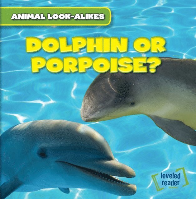 Rob Ryndak - Dolphin or Porpoise?, E-bok. Tillgänglighet: Lägg i varukorg