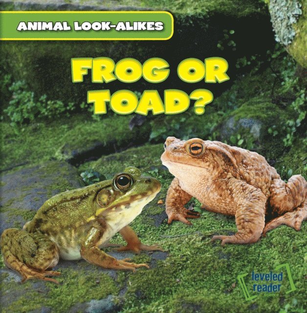 Rob Ryndak - Frog or Toad?, E-bok. Tillgänglighet: Lägg i varukorg