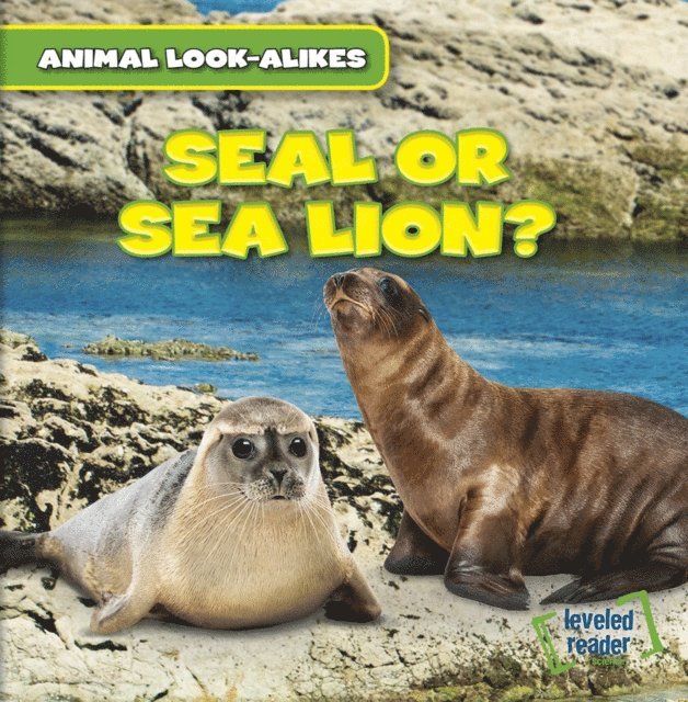 Rob Ryndak - Seal or Sea Lion?, E-bok. Tillgänglighet: Lägg i varukorg