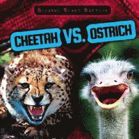 Charlotte Herriott - Cheetah vs. Ostrich, Häftad. Tillgänglighet: Tillfälligt slut