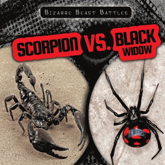 Caitie McAneney - Scorpion vs. Black Widow, E-bok. Tillgänglighet: Lägg i varukorg