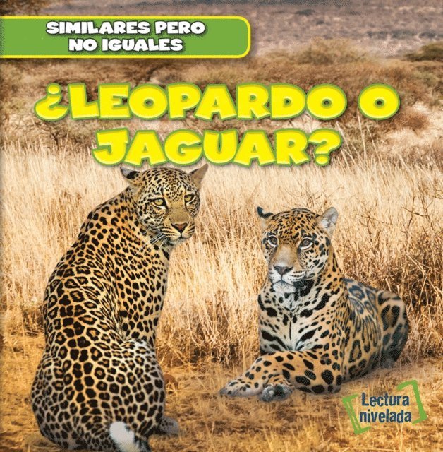Rob Ryndak - ¿Leopardo o jaguar? (Leopard or Jaguar?), E-bok. Tillgänglighet: Lägg i varukorg
