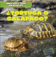 ¿Tortuga O Galápago? (Turtle or Tortoise?)