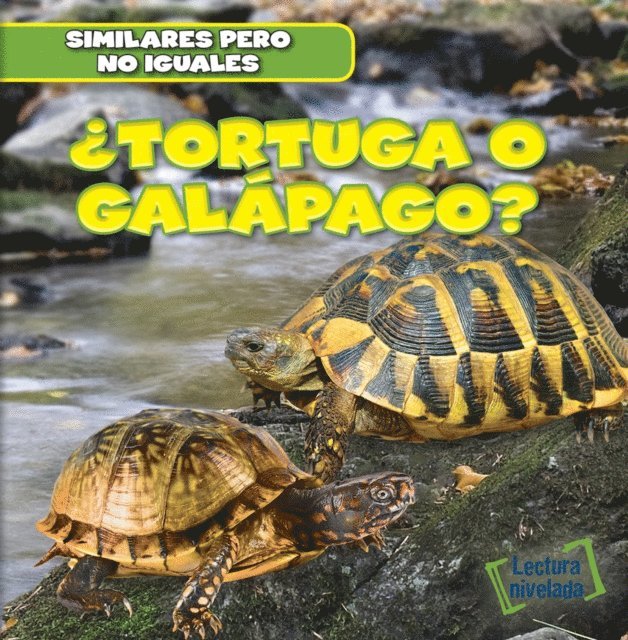 Rob Ryndak - ¿Tortuga o galápago? (Turtle or Tortoise?), E-bok. Tillgänglighet: Lägg i varukorg
