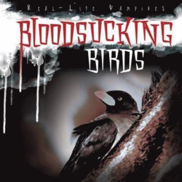 Christine Honders - Bloodsucking Birds, E-bok