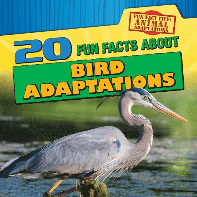 Sarah Machajewski - 20 Fun Facts About Bird Adaptations, E-bok
